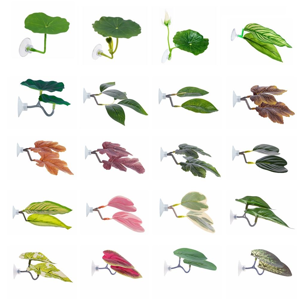 Aquarium Plant Rings - Hoja de descanso de pescado Betta
