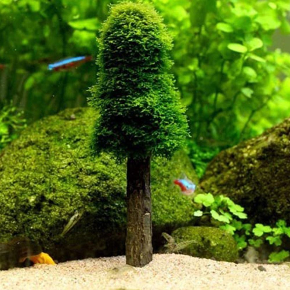 Aquarium Planted Background - Árbol de Navidad de Simulación para