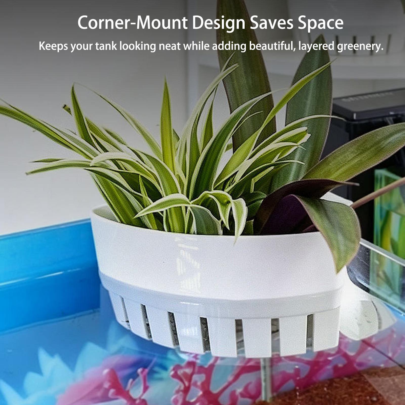 Aquarium Planted Background - Cesta para Plantas de Acuario, Decoración
