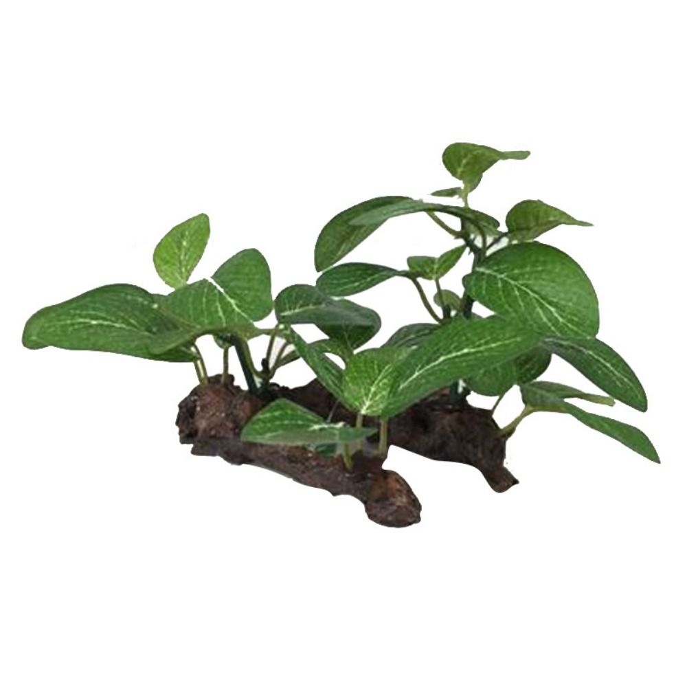 Planted Aquarium Jar - Plástico Creativo para Decoración de Peceras,