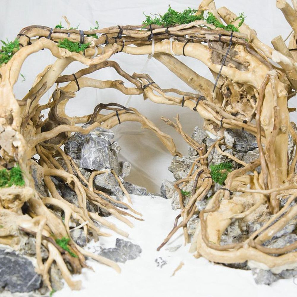 Aquarium Plant Rings - Tronco de madera N1N para terrario