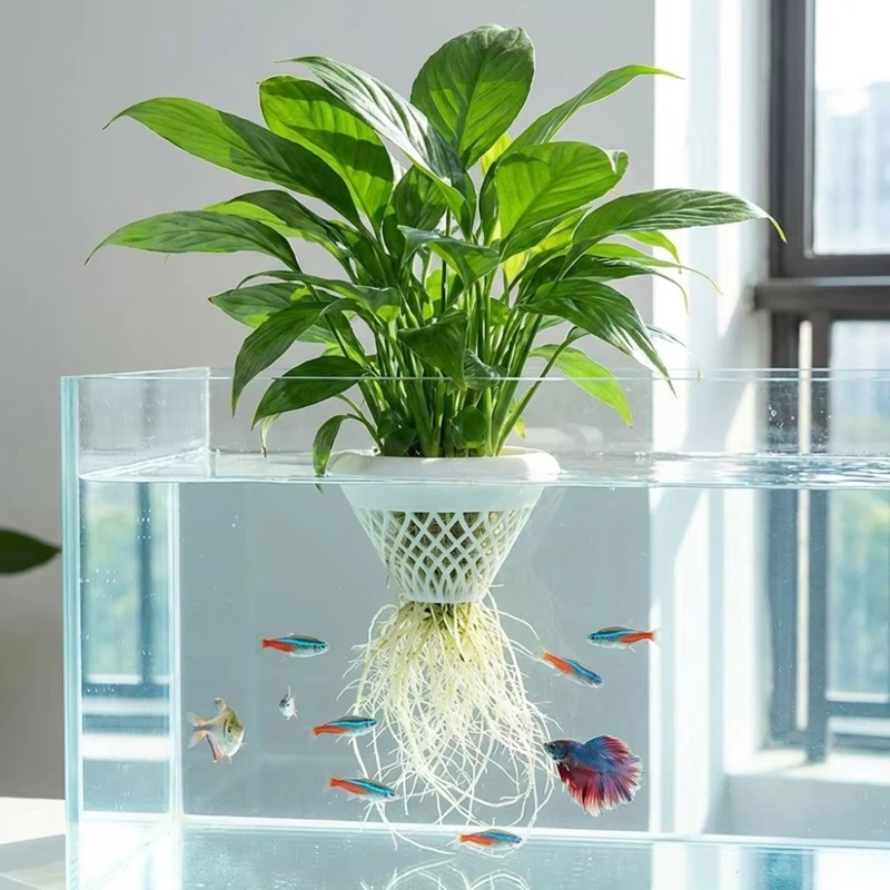 Planted Aquarium Jar - Maceta flotante para plantas de acuario,