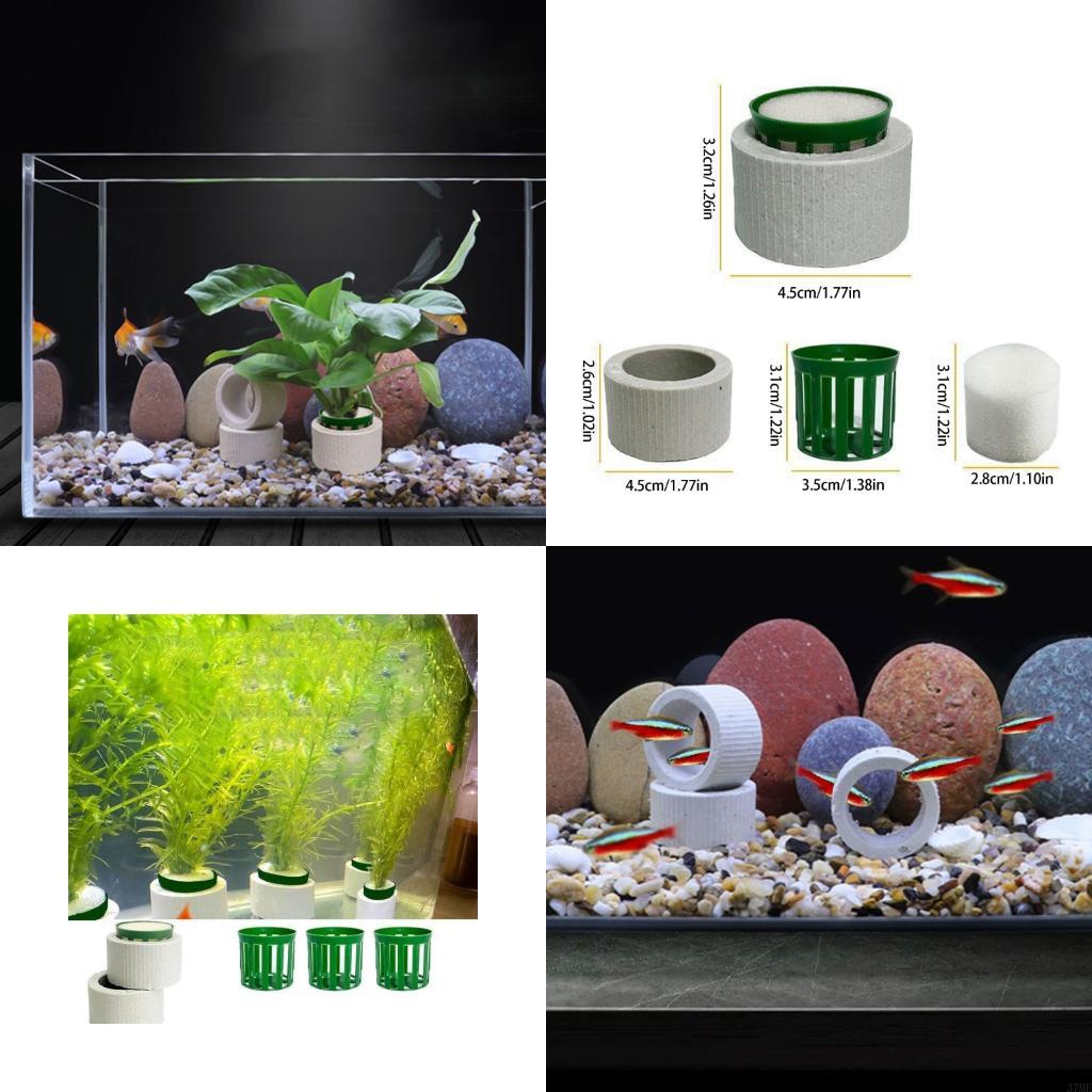Aquarium Planted Background - 37ME Juego 10 anillos fijos para
