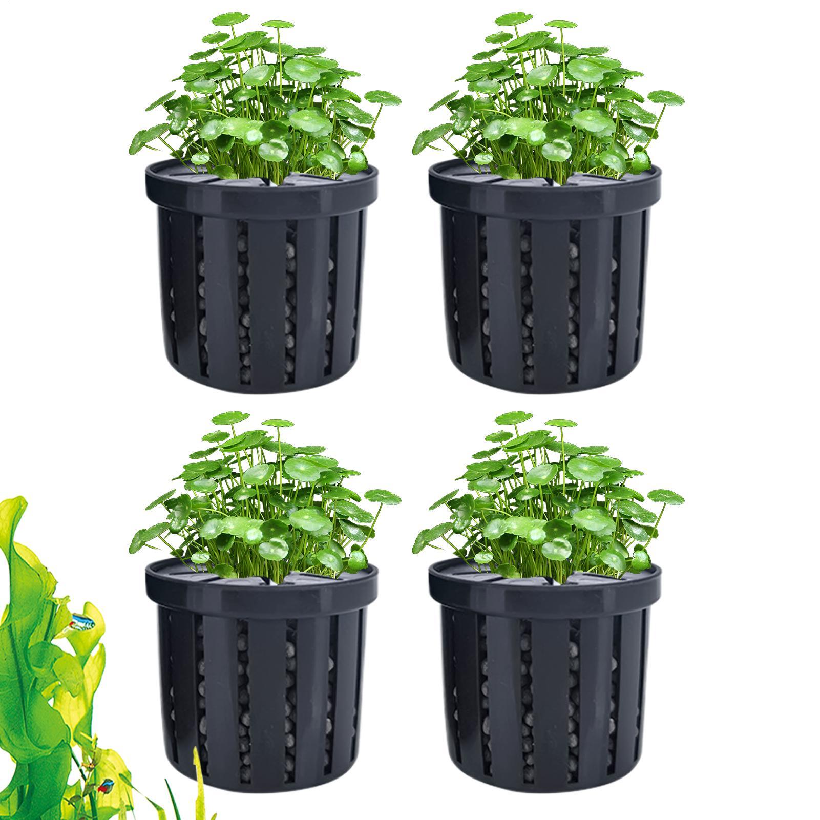 Aquarium Plant Rings - Maceta para acuario de 4 piezas