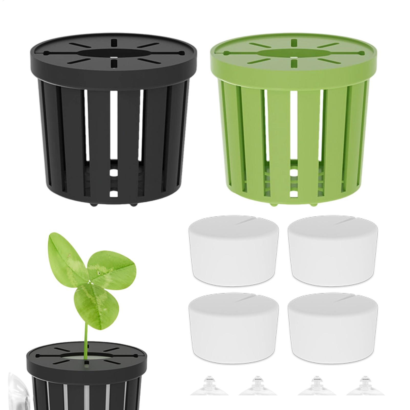 Aquarium Planted Background - Juego de 4 Soportes para Plantas