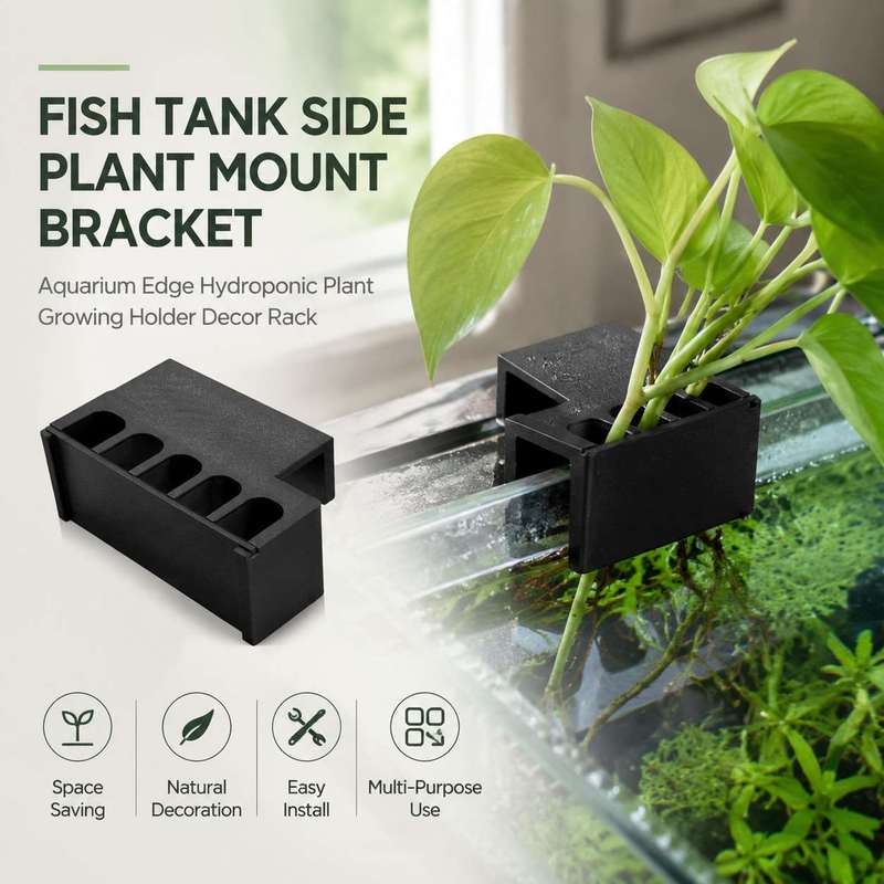 Aquarium Plant Diseases - Soporte Lateral para Plantas de Acuario,