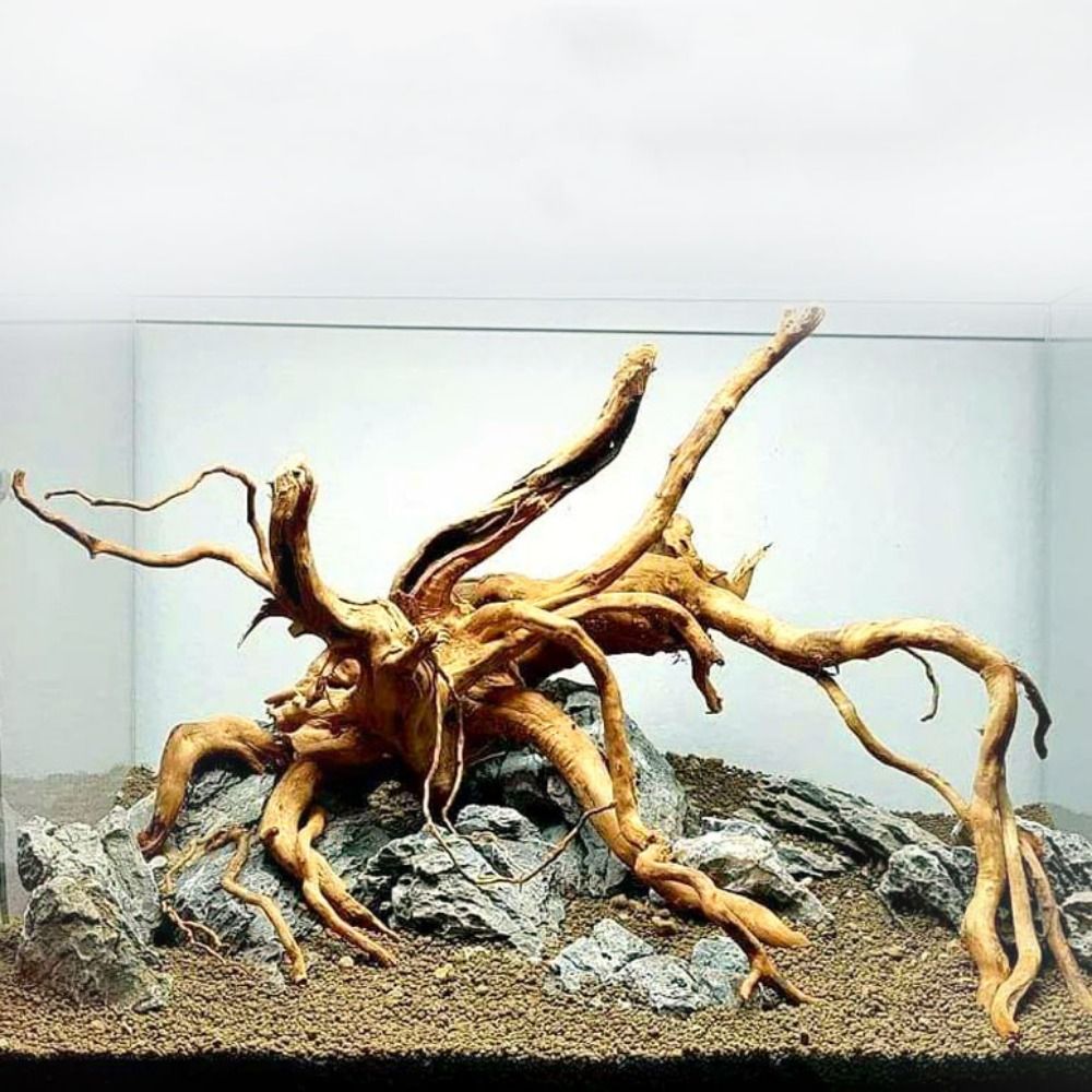 Aquarium Plant Rings - Decoración de tronco de árbol Natural