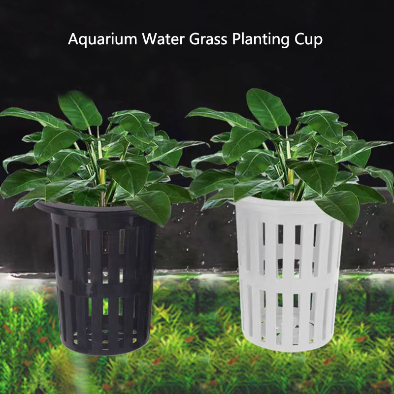 Aquarium Plant Rings - Cesta para plantas de acuario, macetero