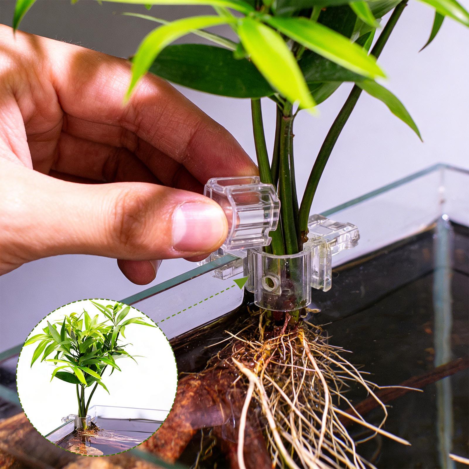 Aquarium Plant Live - Soportes para plantas de acuario, soporte
