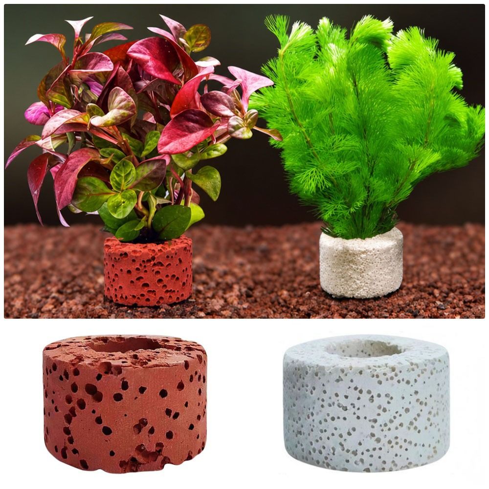 Planted Aquarium Pictures - 10 Anillos con Peso para Fijación
