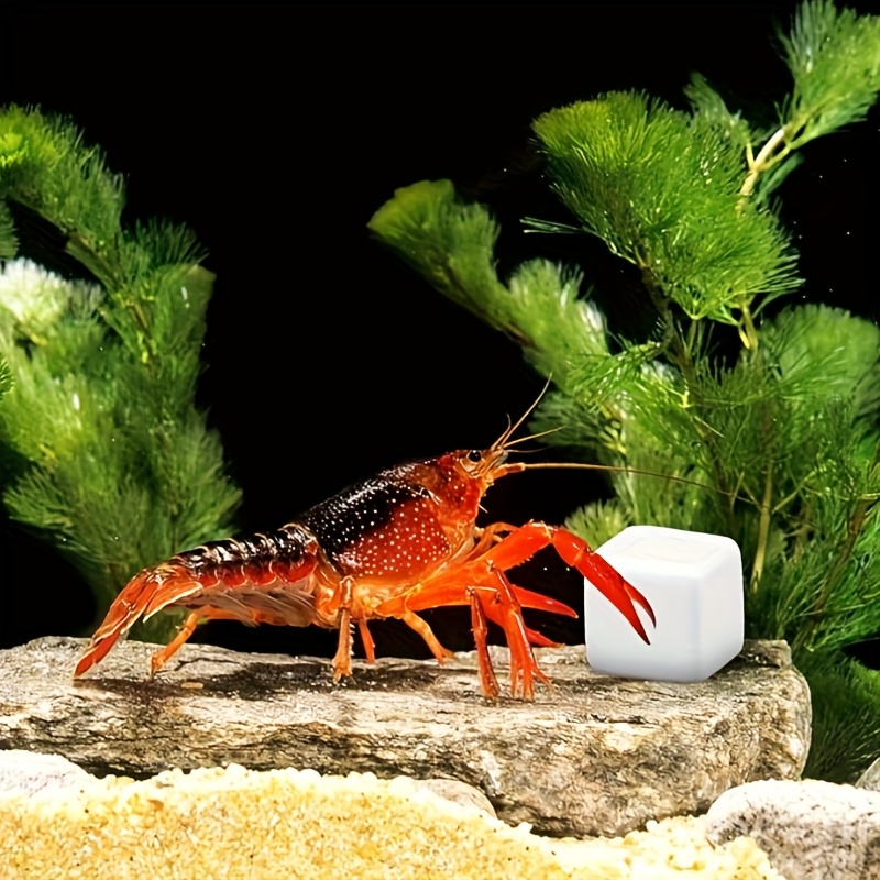 Aquarium Plant Rings - Bloques de calcio para pecera, minerales,