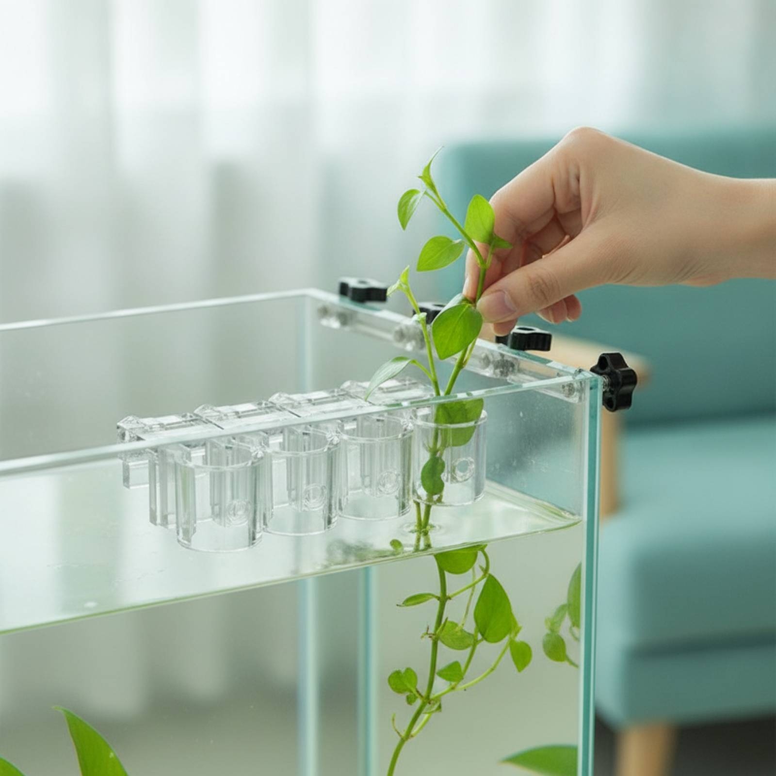 6 Piezas de Soportes Transpare - Aquarium Planting reseña y precio