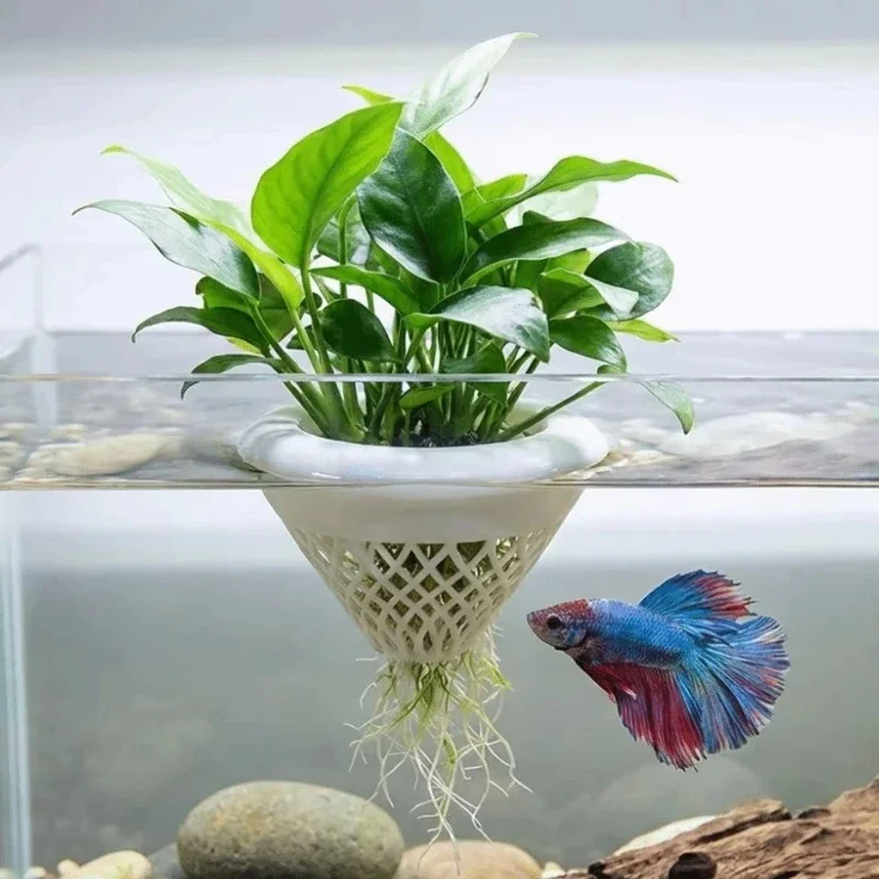 Maceta flotante para plantas d - Planted Aquarium Jar reseña y precio