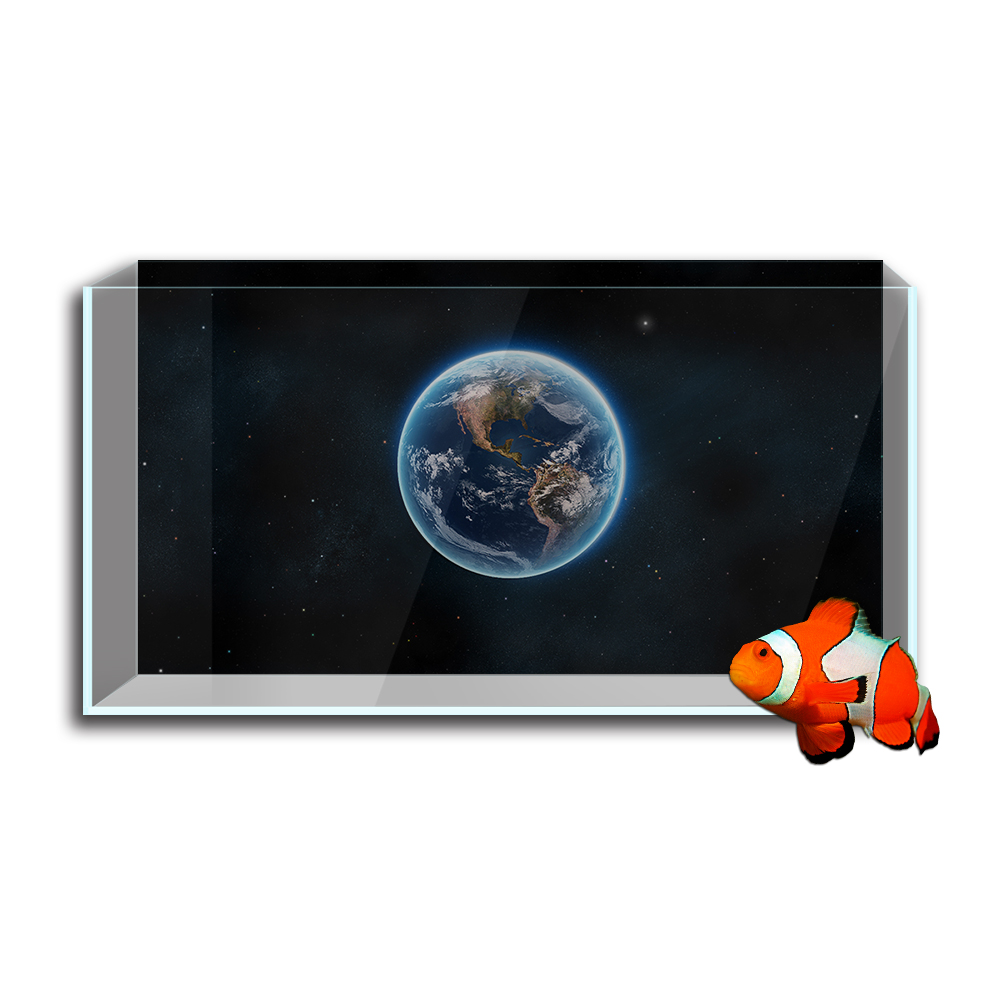 Pegatina de fondo para pecera  - Aquarium Planet reseña y precio