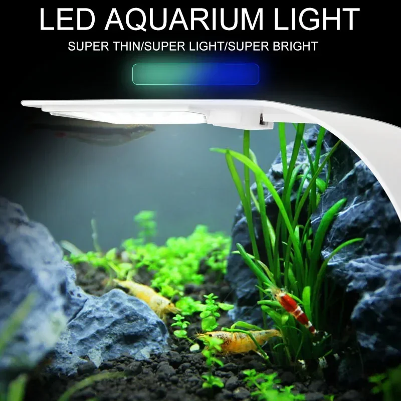 Luz LED ultrafina para acuario - Planted Aquarium Pictures reseña y precio