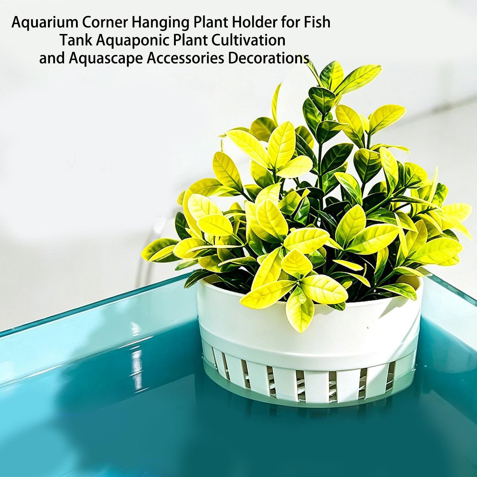 Cesta para Plantas de Acuario, - Aquarium Planted Background reseña y precio