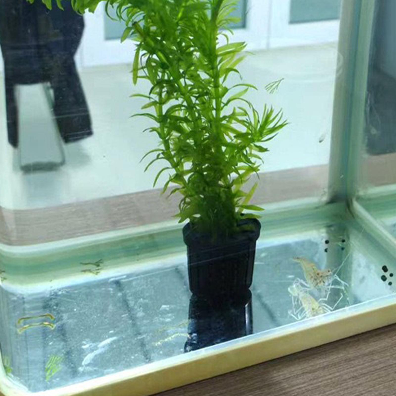 Juego de 4 Cestas Hidropónicas - Aquarium Planted Background reseña y precio