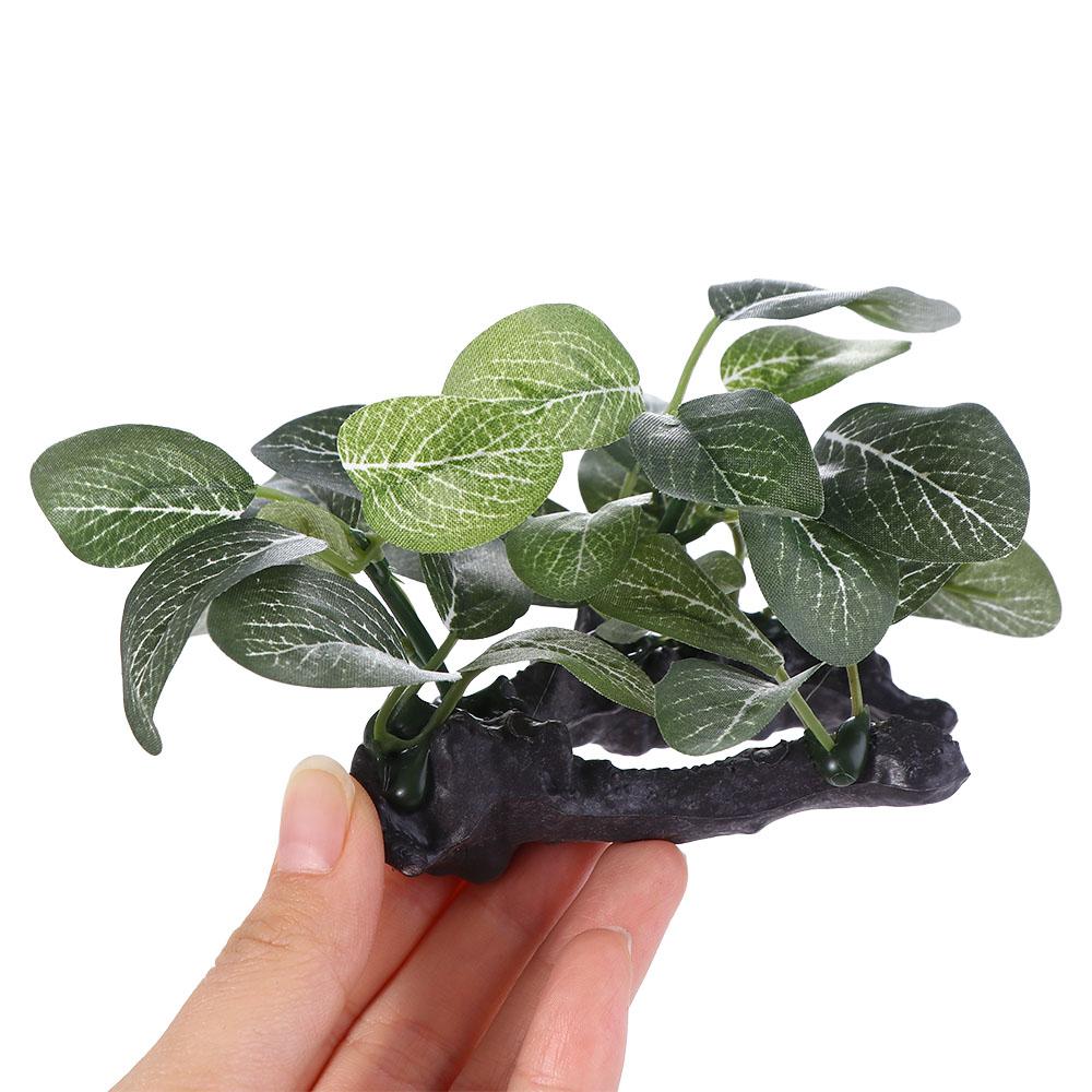 Planta Artificial Creativa de  - Planted Aquarium Jar reseña y precio