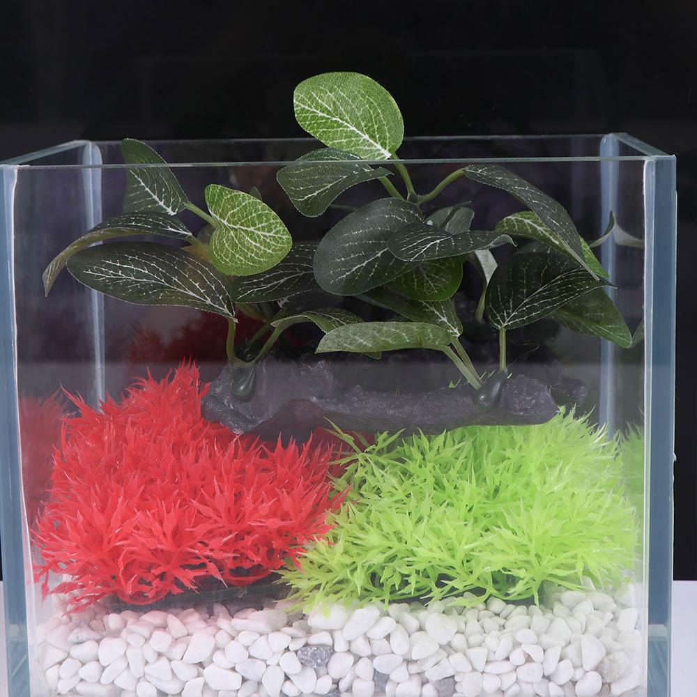 Planta Artificial Creativa de  - Planted Aquarium Jar reseña y precio