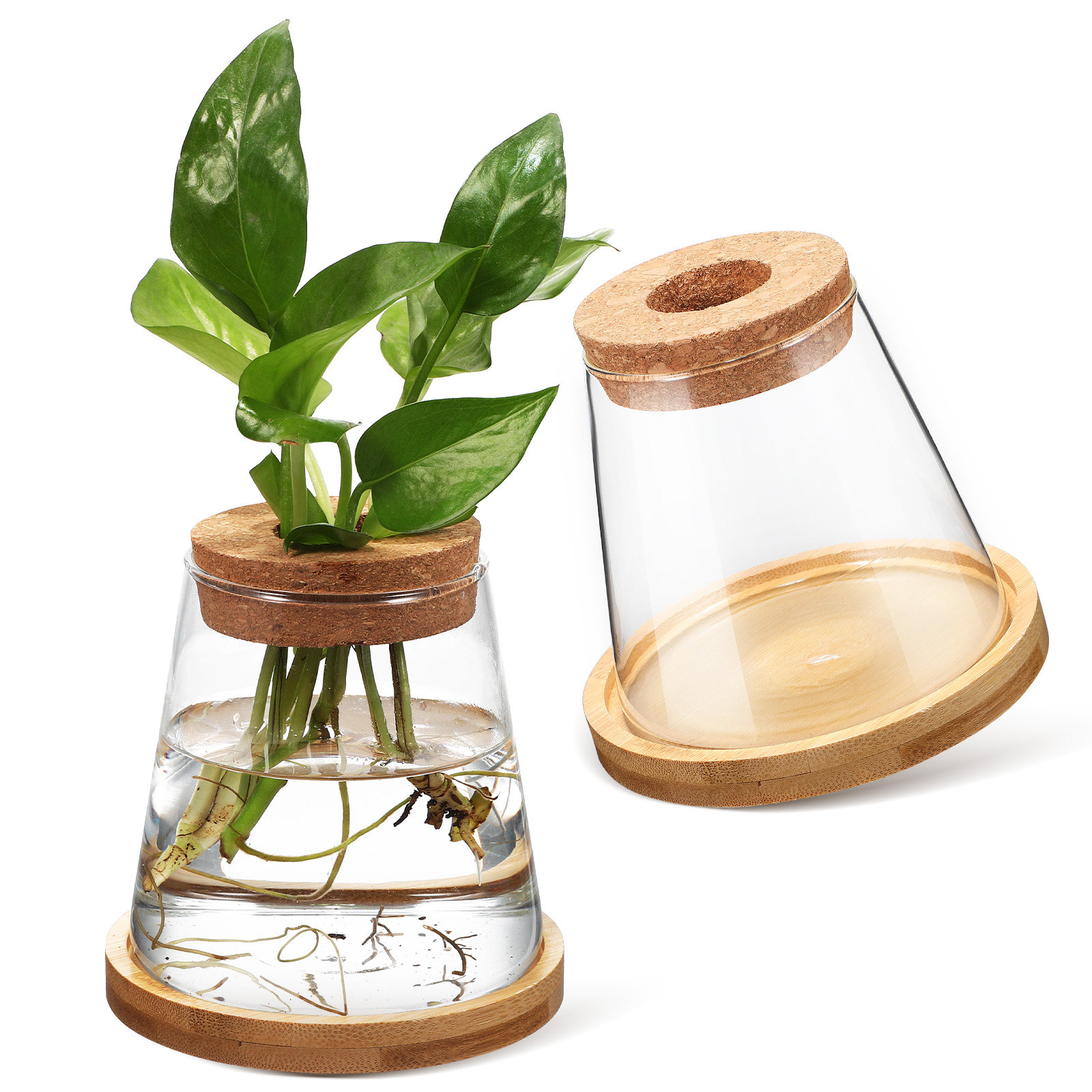 2 Piezas de Recipientes de Vid - Planted Aquarium Jar reseña y precio