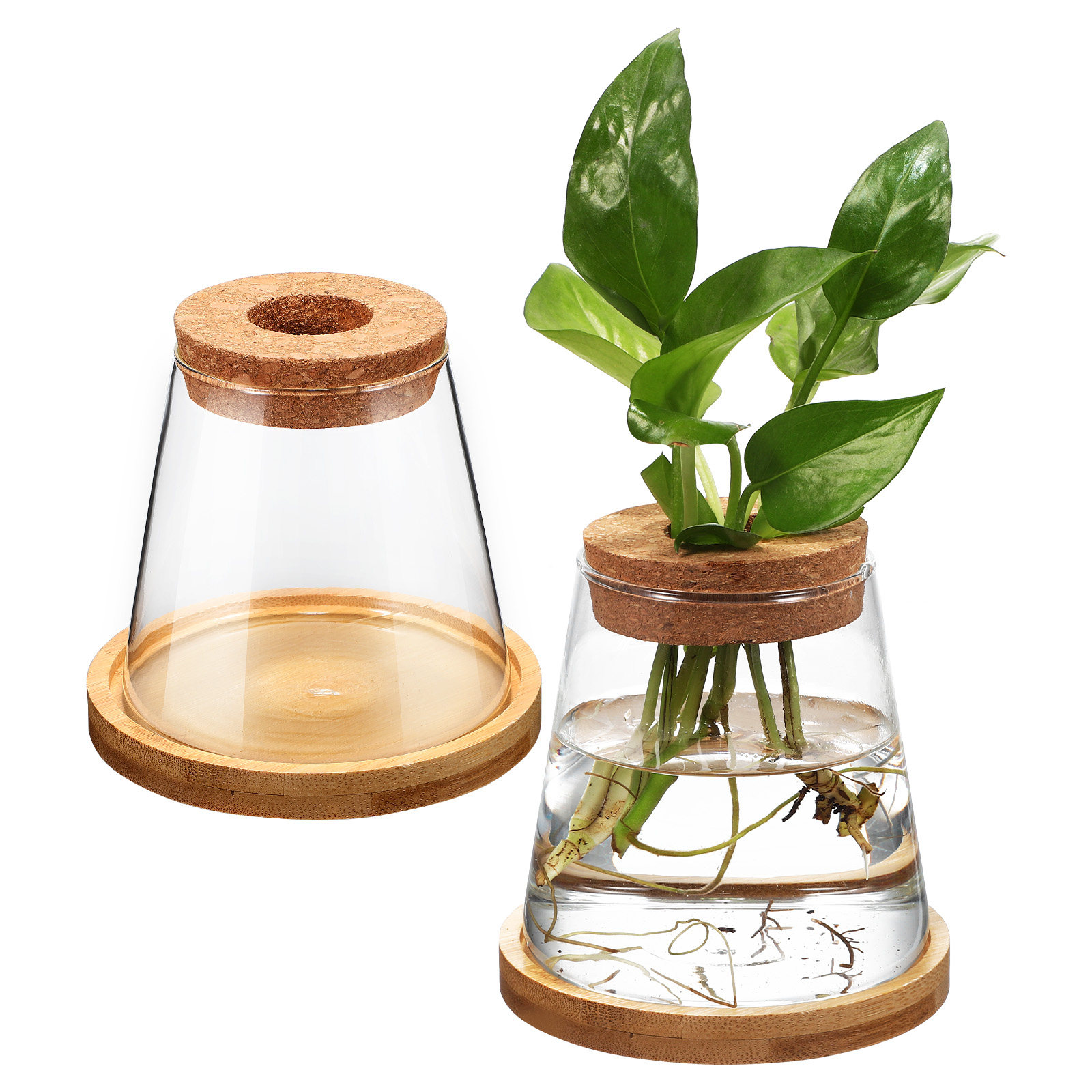 2 Piezas de Recipientes de Vid - Planted Aquarium Jar reseña y precio