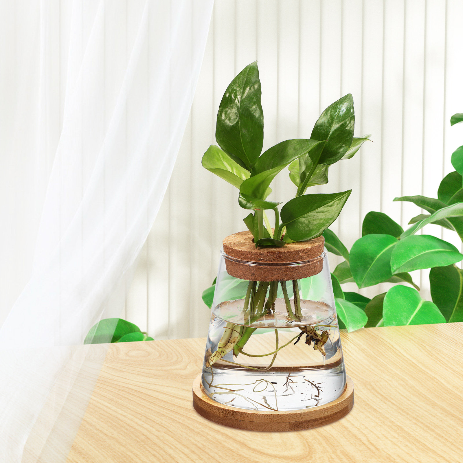 2 Piezas de Recipientes de Vid - Planted Aquarium Jar reseña y precio