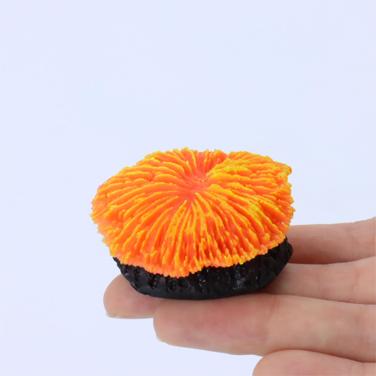 1 piece aquarium decoration sa - Aquarium Planet reseña y precio