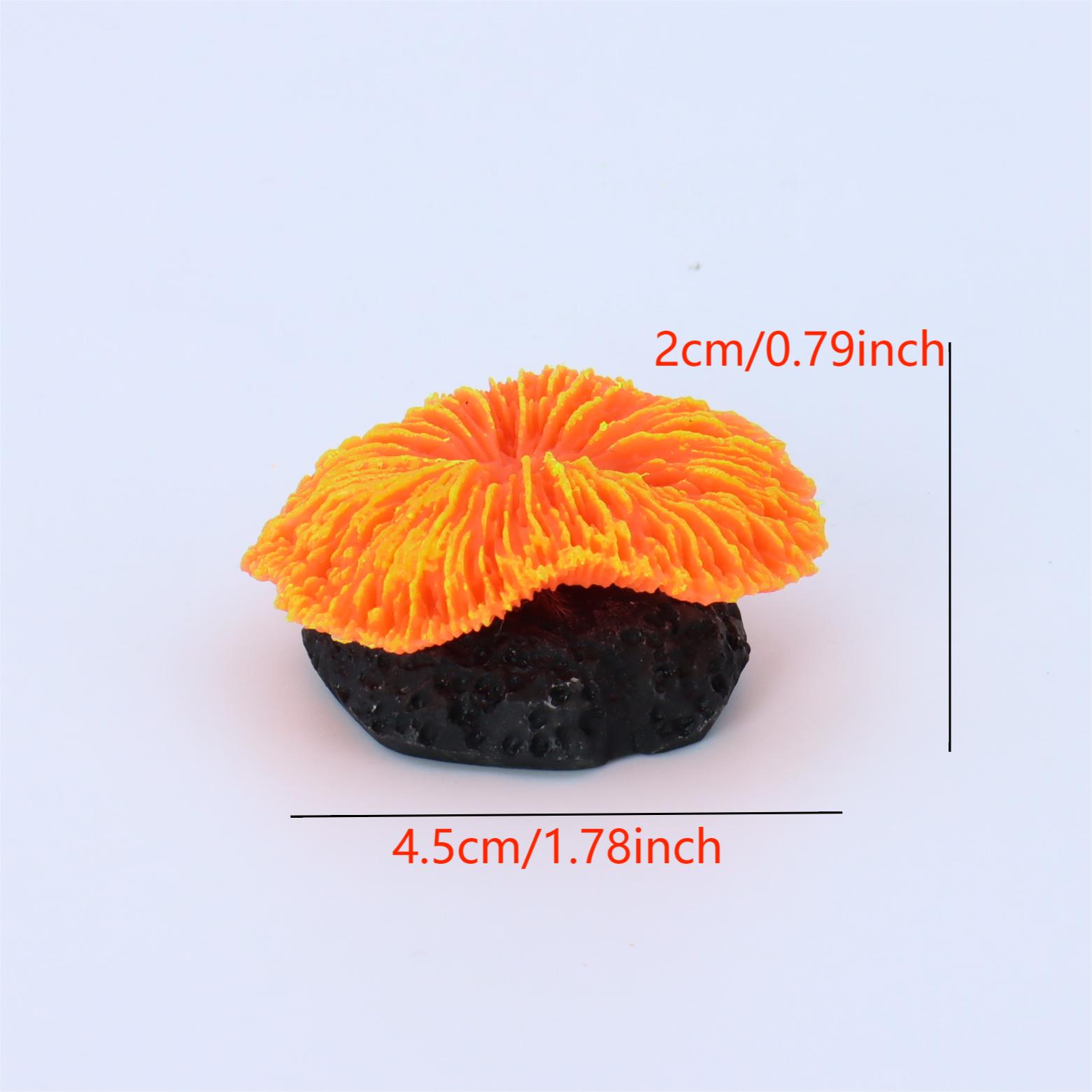 1 piece aquarium decoration sa - Aquarium Planet reseña y precio