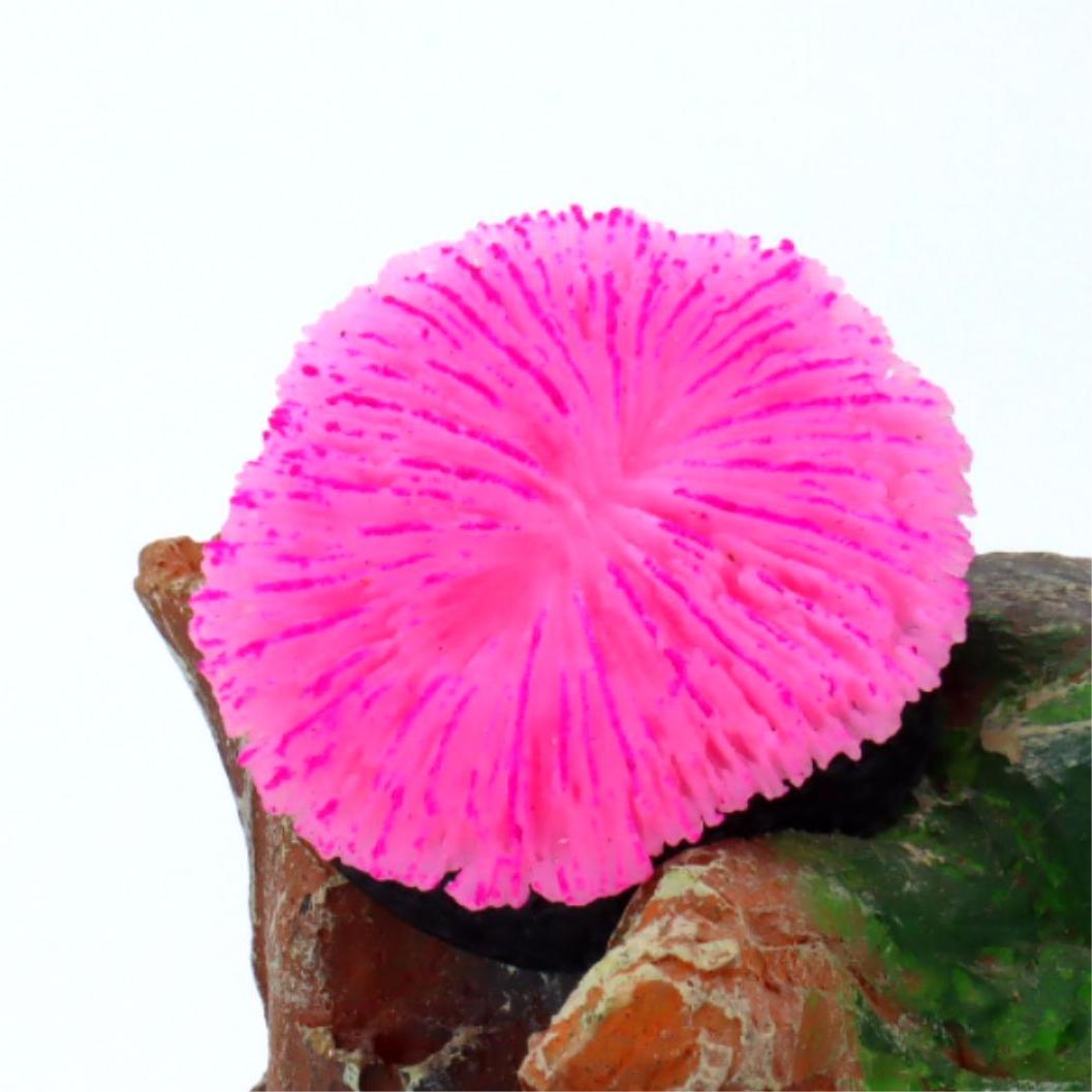 1 piece aquarium decoration sa - Aquarium Planet reseña y precio