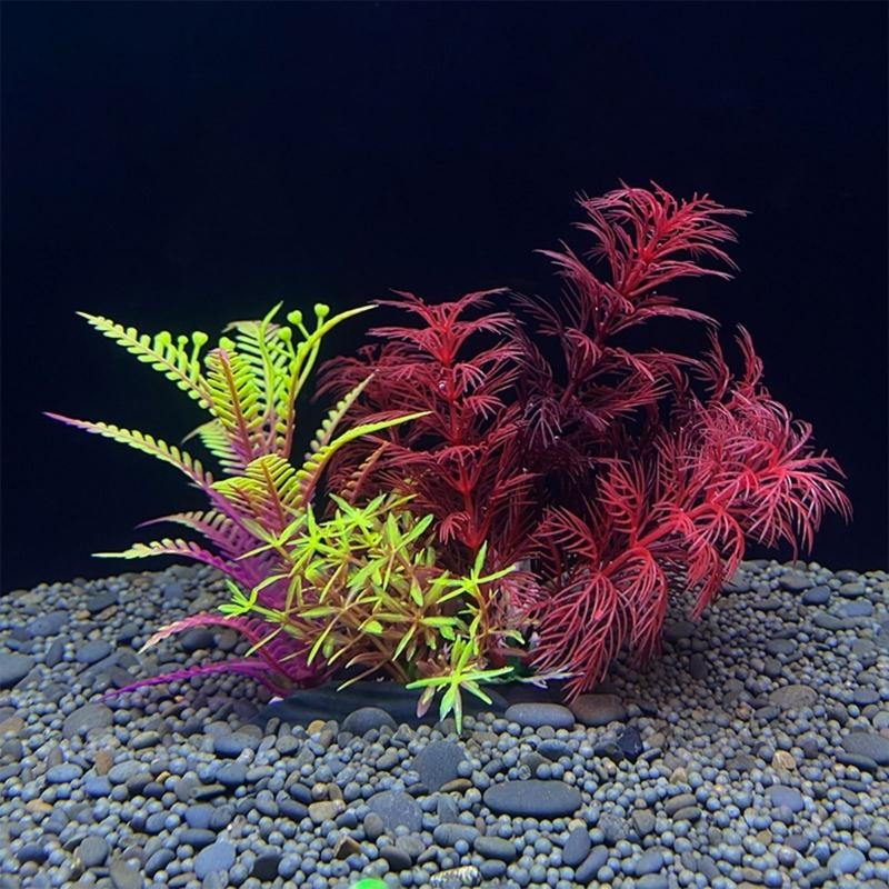 Decoración de acuario Artifici - Planted Aquarium Best Fish reseña y precio