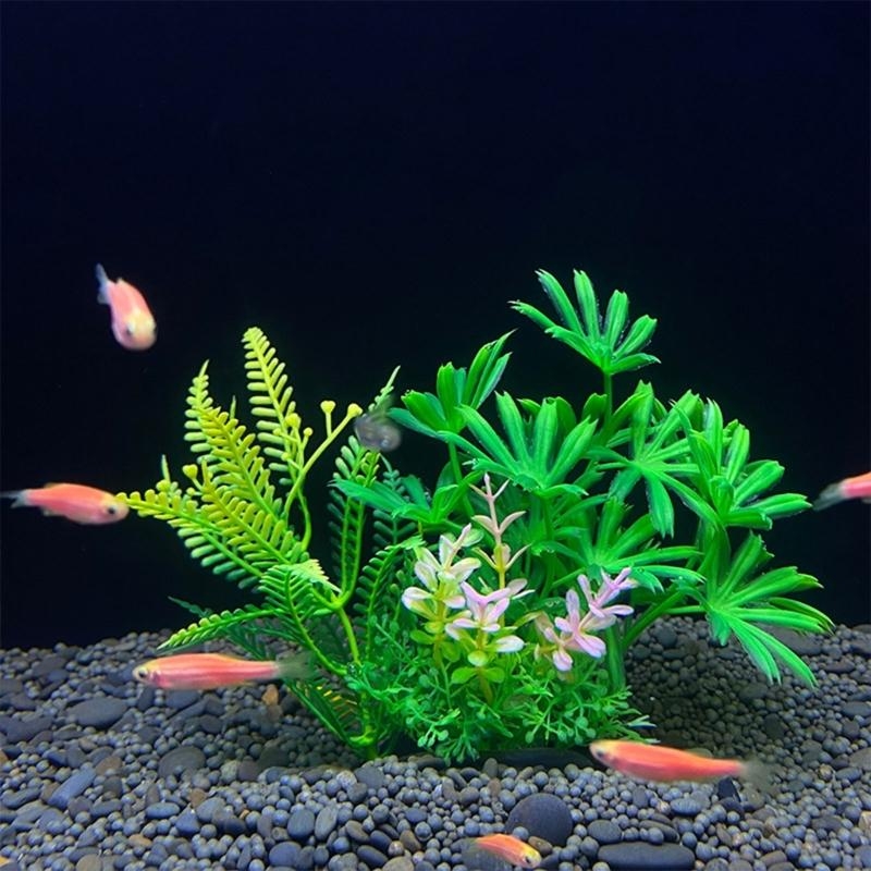 Decoración de acuario Artifici - Planted Aquarium Best Fish reseña y precio