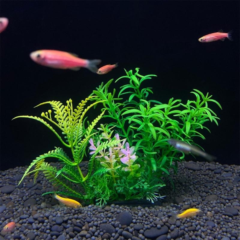 Decoración de acuario Artifici - Planted Aquarium Best Fish reseña y precio