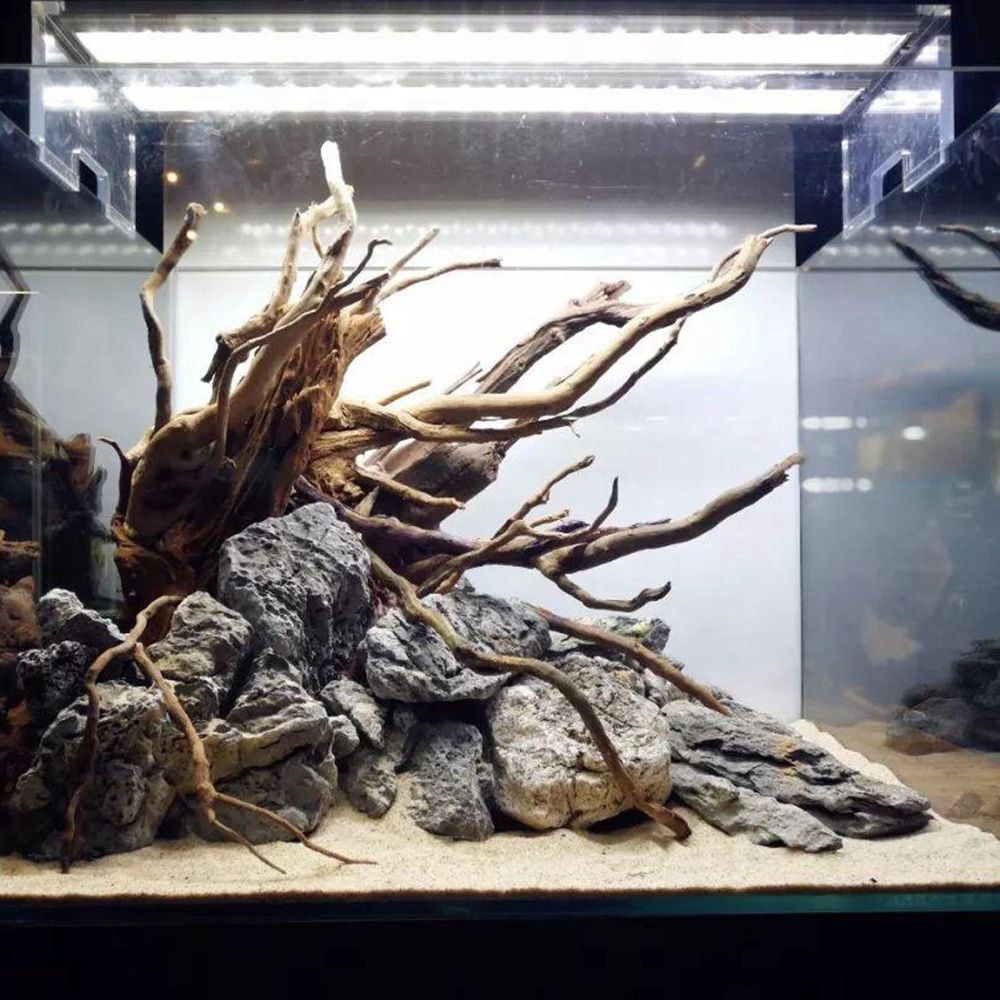 Tronco de madera N1N para terr - Aquarium Plant Rings reseña y precio