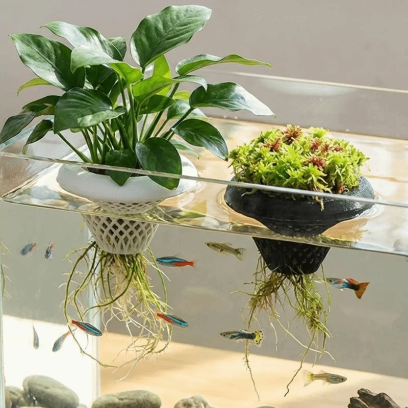 Maceta flotante para plantas d - Planted Aquarium Jar reseña y precio