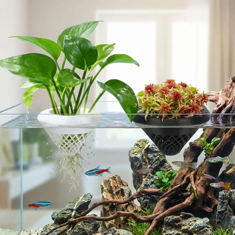 Maceta flotante para plantas d - Planted Aquarium Jar reseña y precio