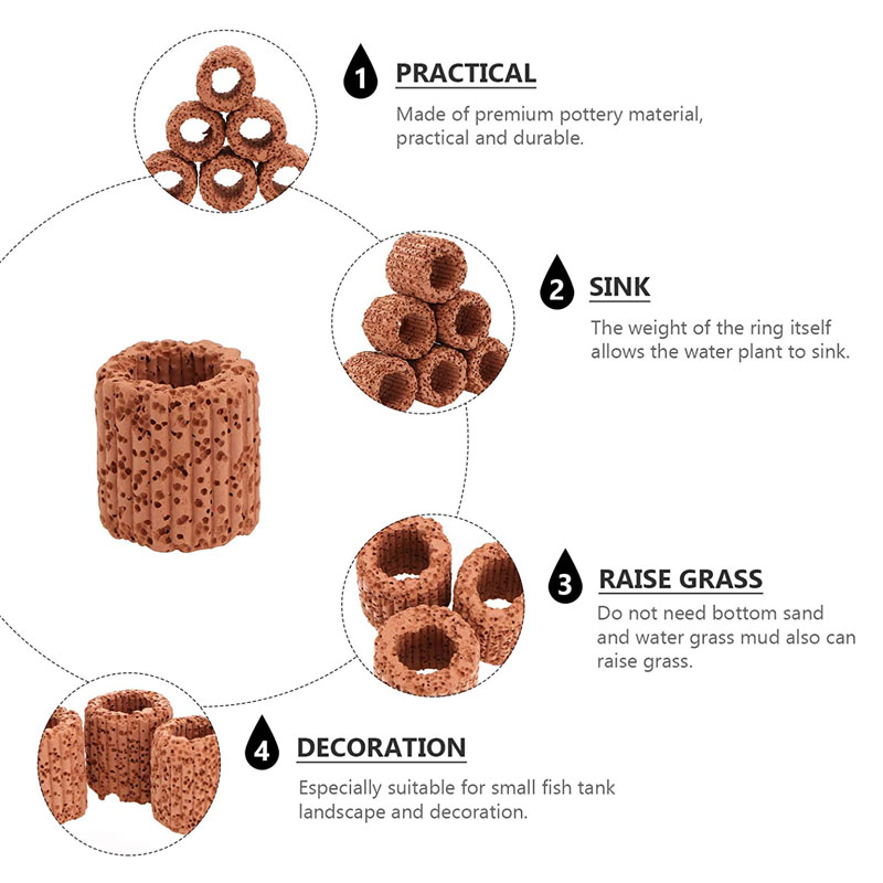 Anillo fijo para plantas acuát - Aquarium Plant Rings reseña y precio