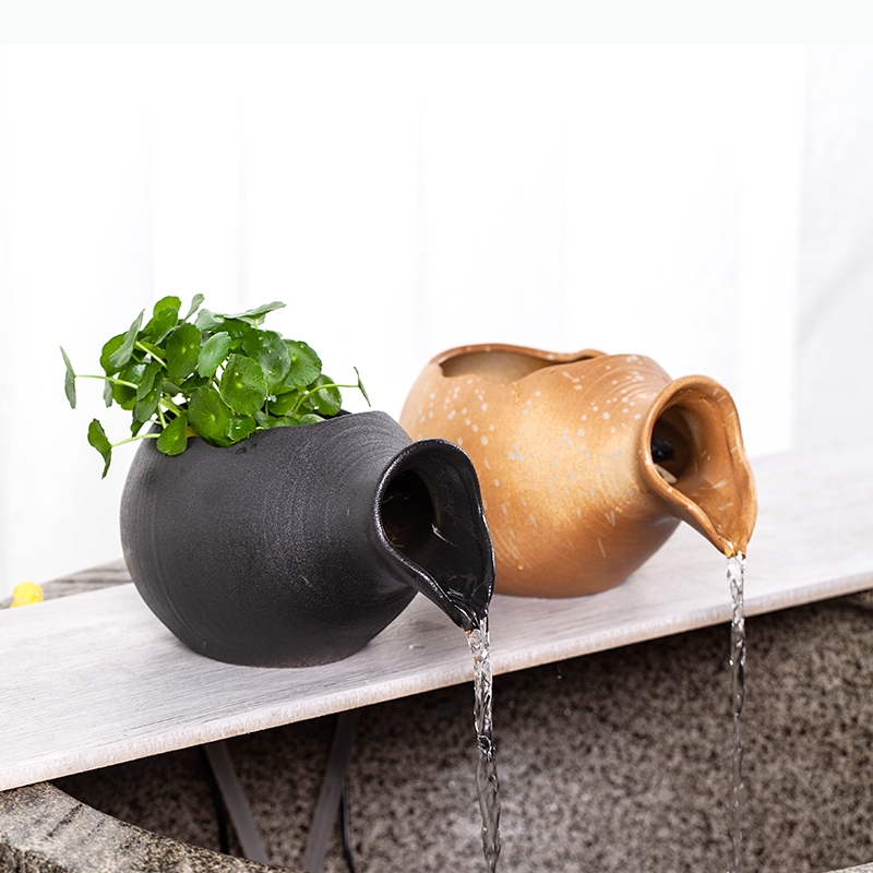 Acuarios de cerámica para pece - Planted Aquarium Jar reseña y precio