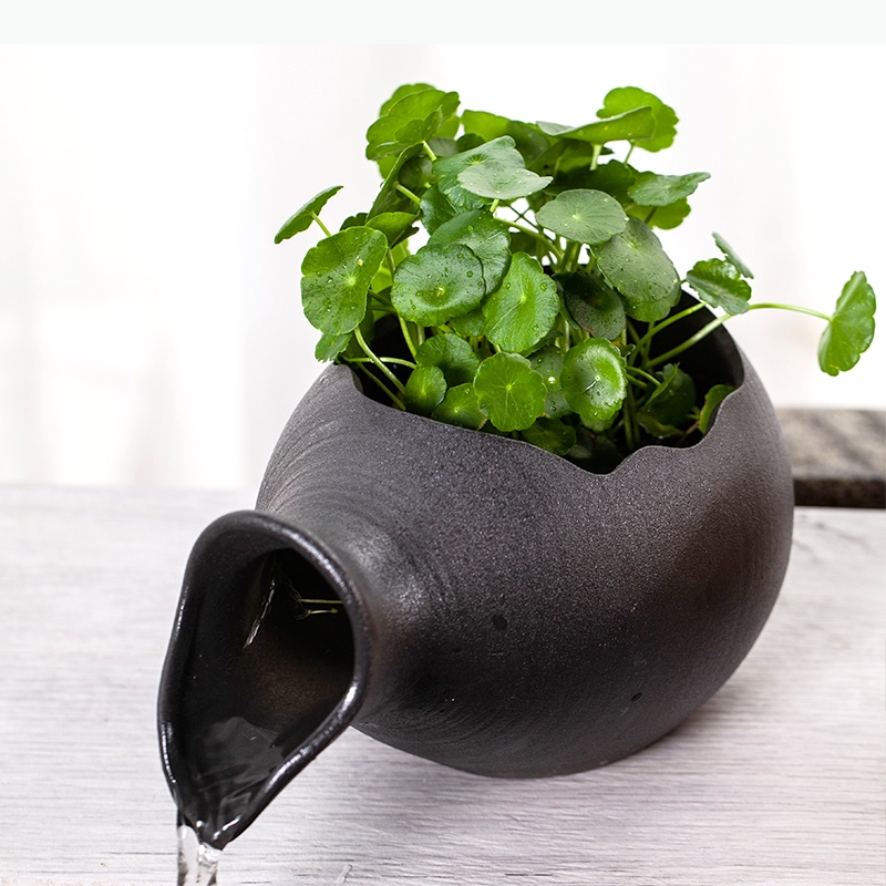 Acuarios de cerámica para pece - Planted Aquarium Jar reseña y precio
