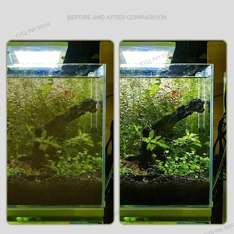 Herramienta de limpieza de pec - Planted Aquarium Tool Kit reseña y precio
