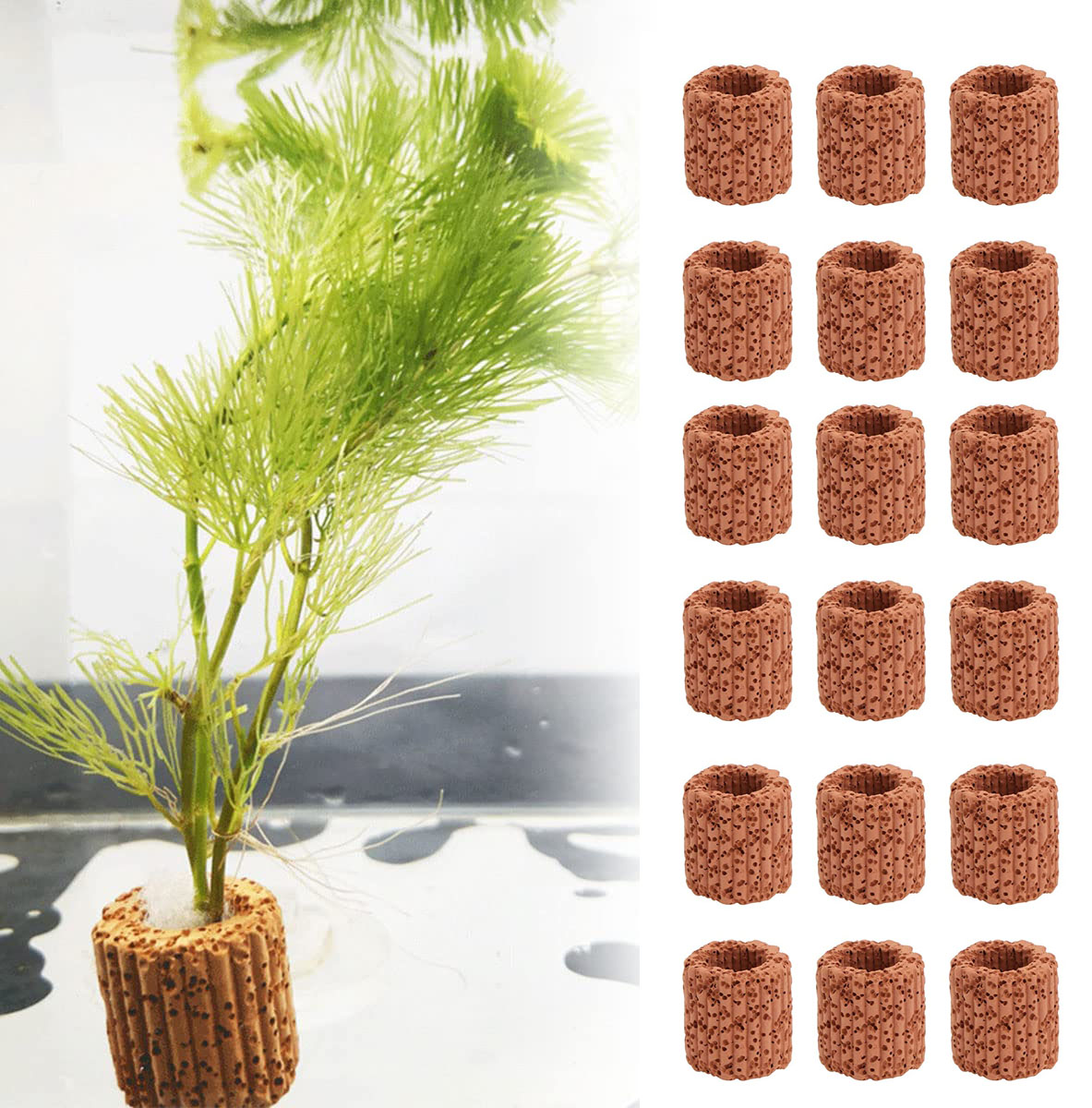 Anillo fijo para plantas acuát - Aquarium Plant Rings reseña y precio