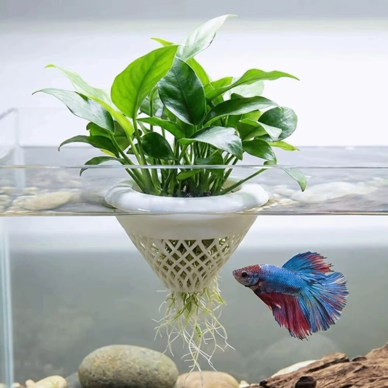 Maceta flotante para plantas d - Planted Aquarium Jar reseña y precio