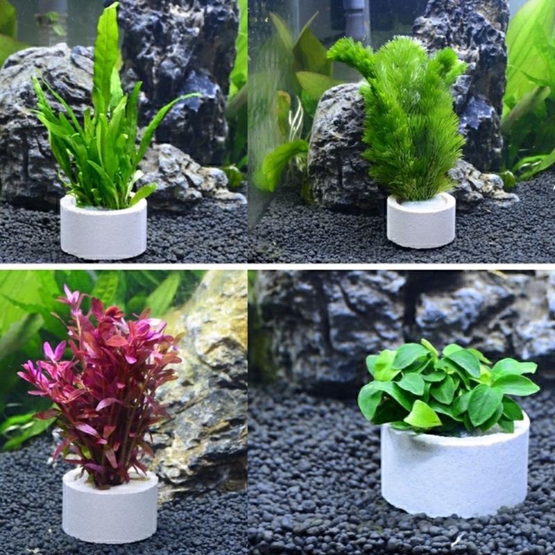 37ME Juego 10 anillos fijos pa - Aquarium Planted Background reseña y precio