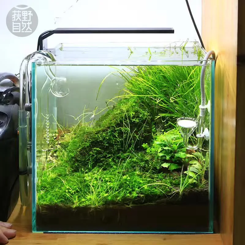 Chihiros Serie C Planta estilo - Aquarium Plant Ornament reseña y precio