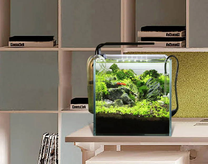 Chihiros Serie C Planta estilo - Aquarium Plant Ornament reseña y precio