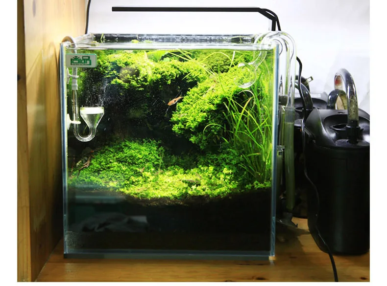 Chihiros Serie C Planta estilo - Aquarium Plant Ornament reseña y precio
