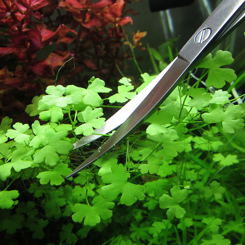 Accesorios para acuario, herra - Planted Aquarium Tool Kit reseña y precio
