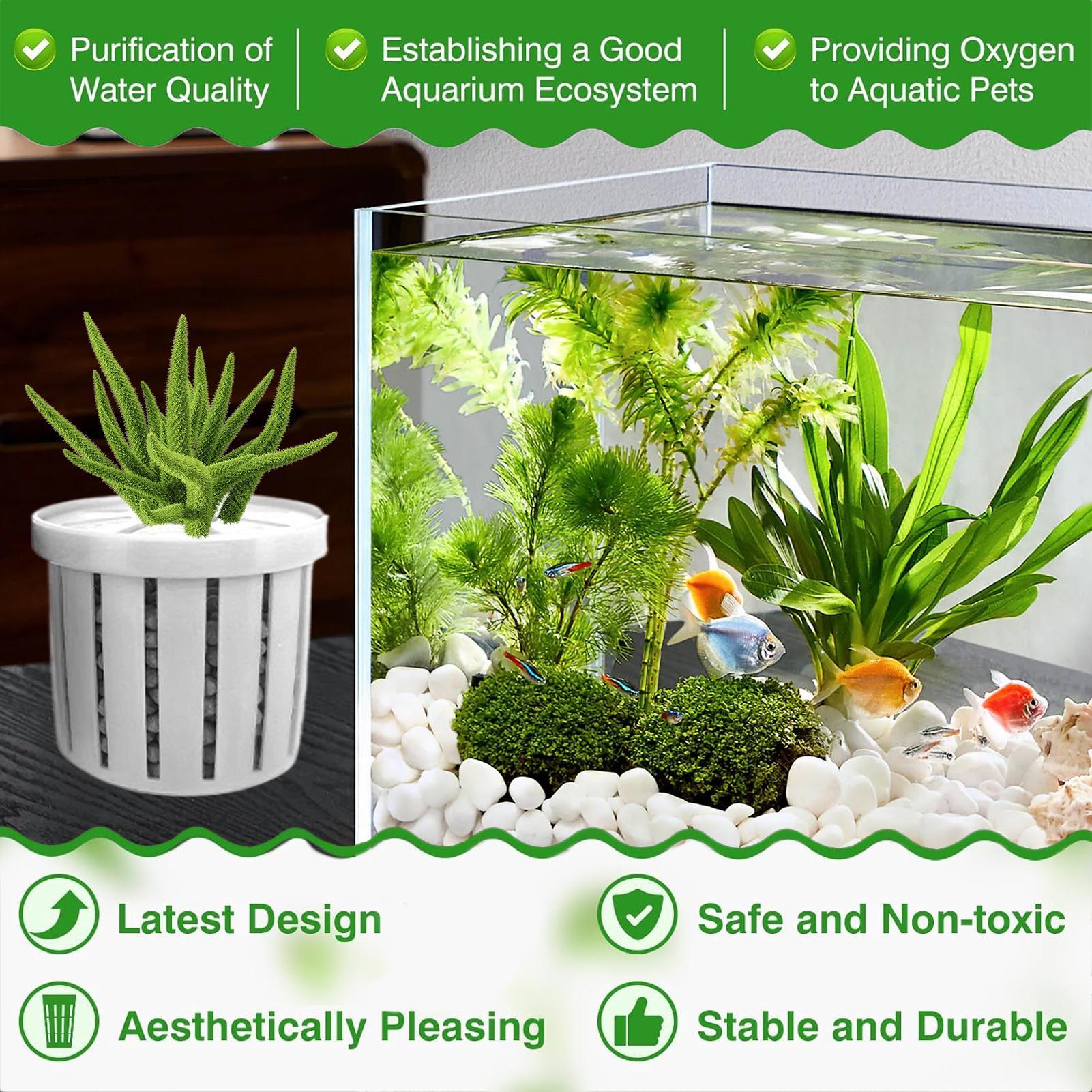 Maceta para acuario de 4 pieza - Aquarium Plant Rings reseña y precio