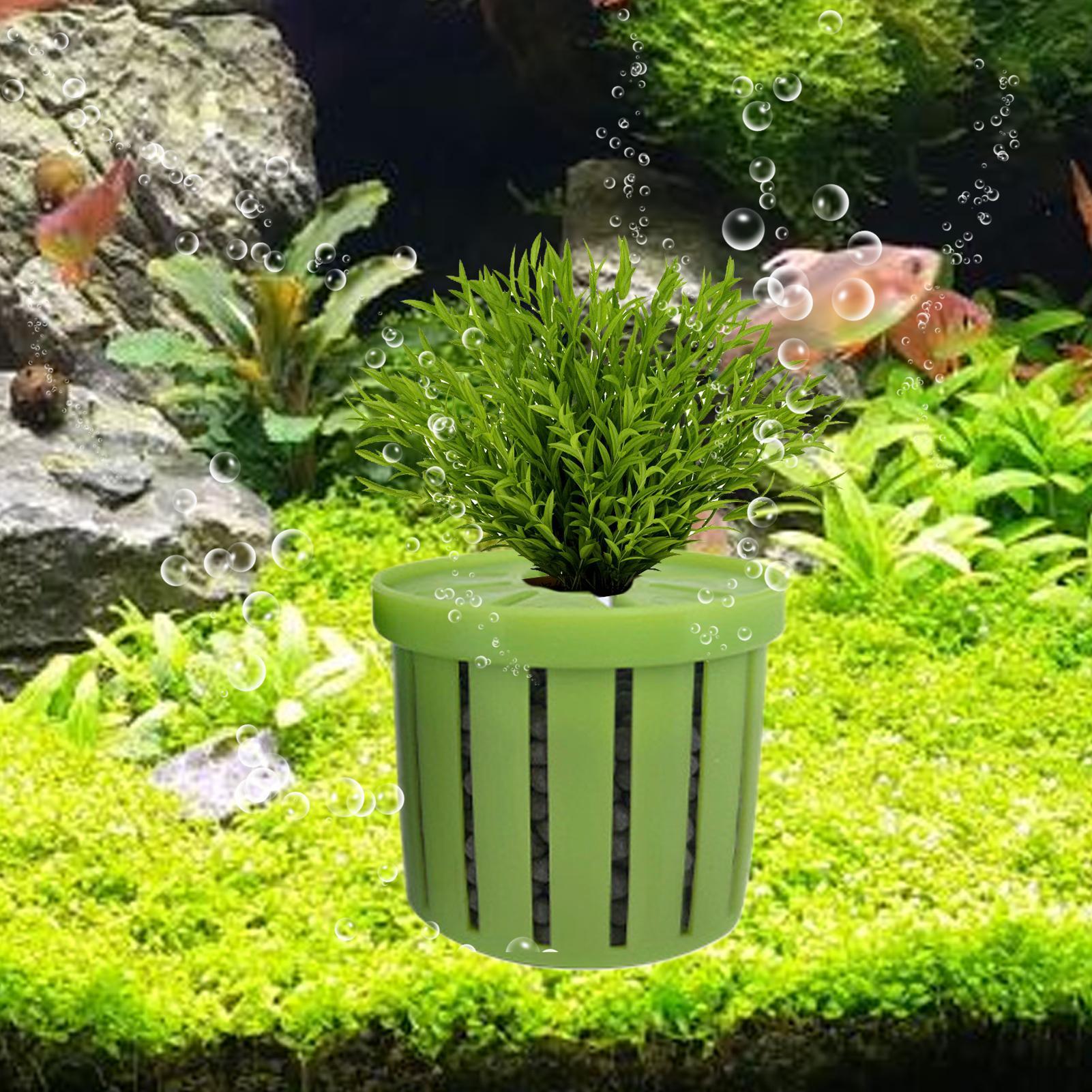 Maceta para acuario de 4 pieza - Aquarium Plant Rings reseña y precio