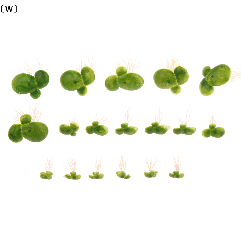 maveraW Organi18pcs/set acuari - Aquarium Plant Live reseña y precio