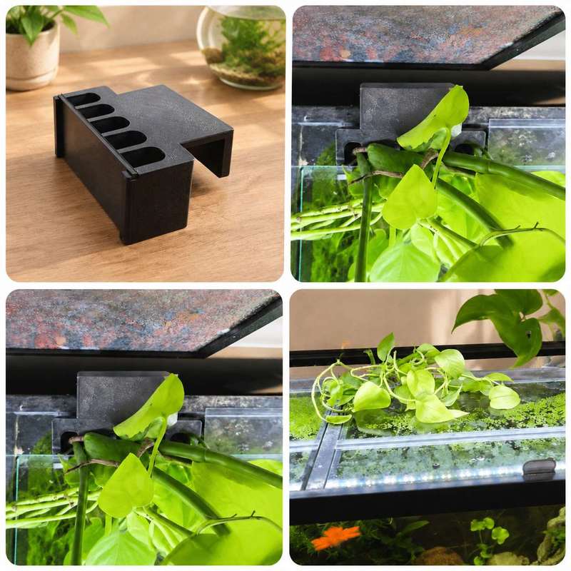 Soporte Lateral para Plantas d - Aquarium Plant Diseases reseña y precio